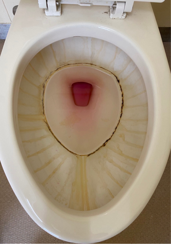 清掃前の汚れた洋式トイレ