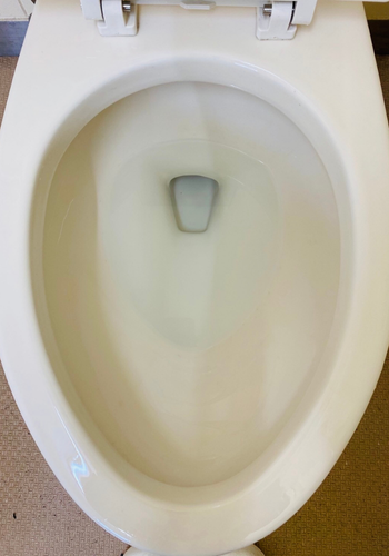 清掃後のきれいな洋式トイレ